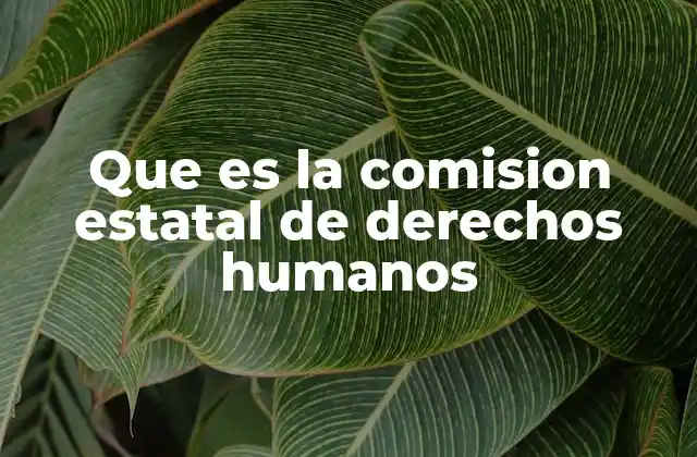 Que es la Comision Estatal de Derechos Humanos 2 La importancia de los órganos protectores en la defensa de los derechos humanos