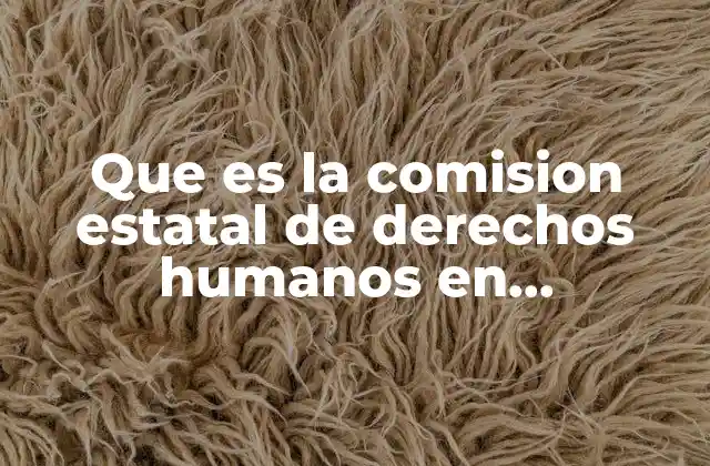 Que es la Comision Estatal de Derechos Humanos en Slidershare