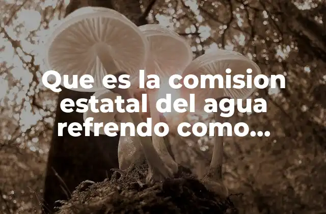 Que es la Comision Estatal Del Agua Refrendo como Contratista