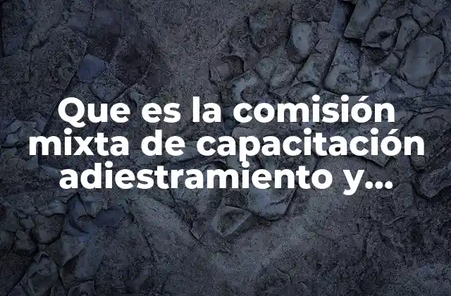 Que es la Comisión Mixta de Capacitación Adiestramiento y Productividad 2 El rol de las comisiones mixtas en la formación laboral