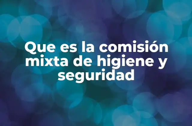 Que es la Comisión Mixta de Higiene y Seguridad