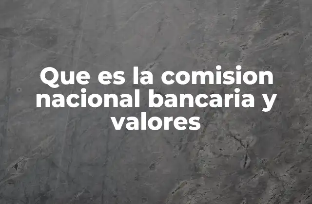 Que es la Comision Nacional Bancaria y Valores