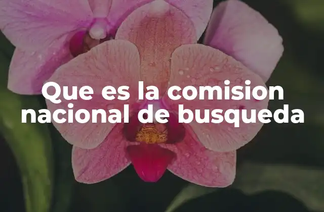 Que es la Comision Nacional de Busqueda