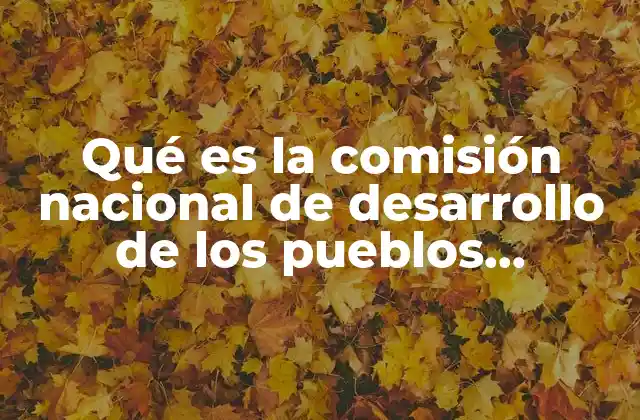 Qué es la Comisión Nacional de Desarrollo de los Pueblos Indígenas 2 El rol de la CNDPI en la integración social de los pueblos indígenas
