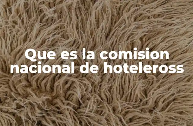 Que es la Comision Nacional de Hoteleross