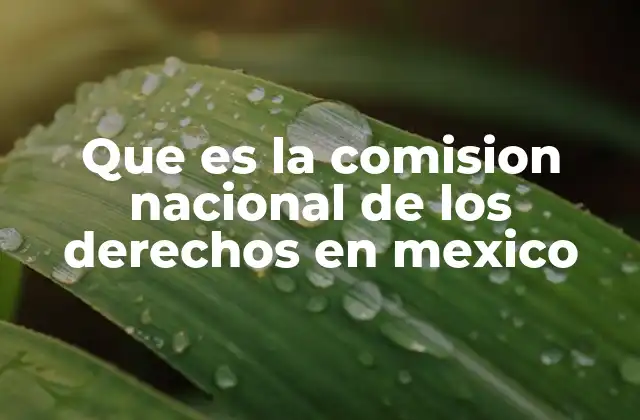 Que es la Comision Nacional de los Derechos en Mexico
