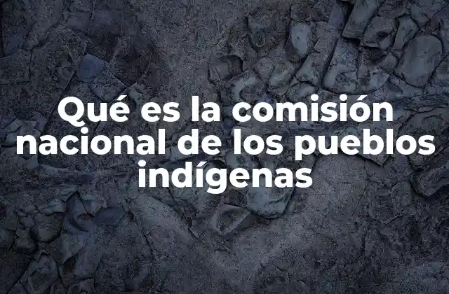 Qué es la Comisión Nacional de los Pueblos Indígenas