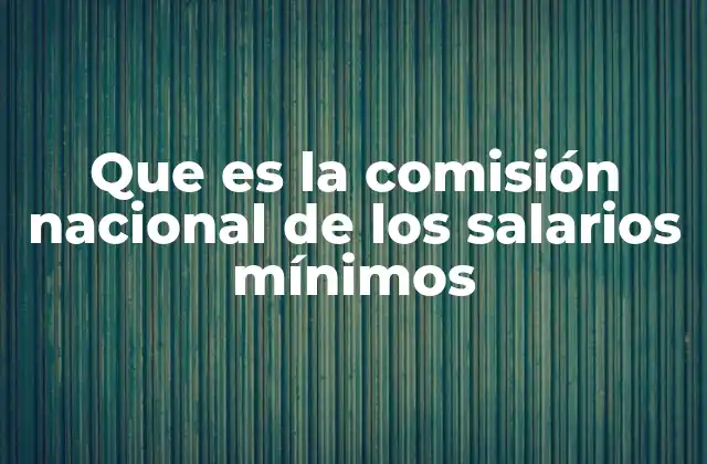 Que es la Comisión Nacional de los Salarios Mínimos 2 El rol de la comisión en la protección de los derechos laborales