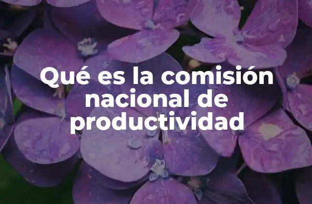 Qué es la Comisión Nacional de Productividad