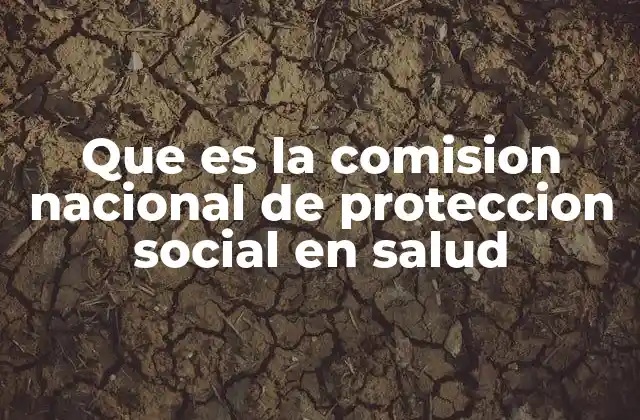 Que es la Comision Nacional de Proteccion Social en Salud