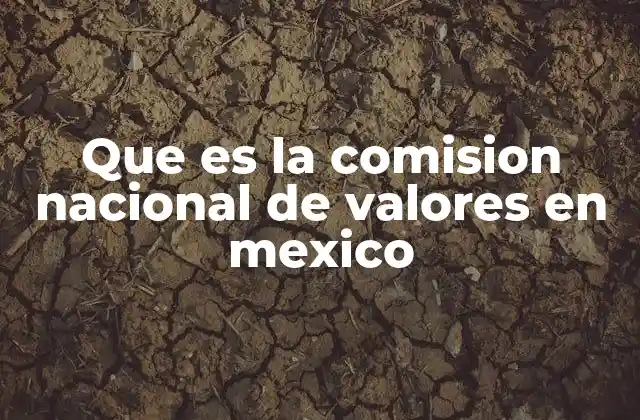 Que es la Comision Nacional de Valores en Mexico 2 El papel de la Comisión Nacional de Valores en el sistema financiero mexicano
