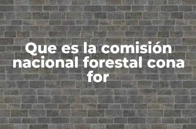 Que es la Comisión Nacional Forestal Cona For 2 El rol de CONAFOR en la protección de ecosistemas mexicanos