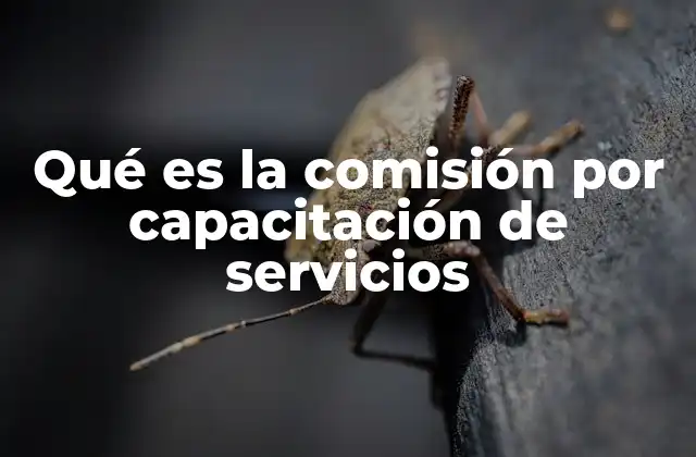 Qué es la Comisión por Capacitación de Servicios