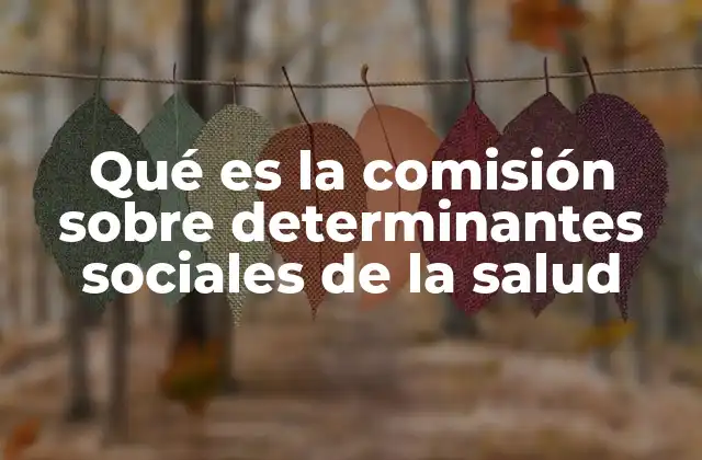 Qué es la Comisión sobre Determinantes Sociales de la Salud