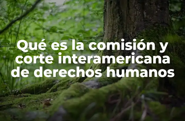Qué es la Comisión y Corte Interamericana de Derechos Humanos 2 El papel del Sistema Interamericano en la defensa de los derechos humanos