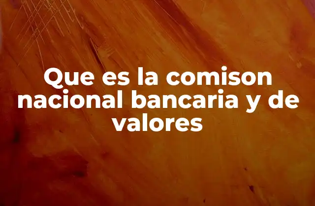 Que es la Comison Nacional Bancaria y de Valores
