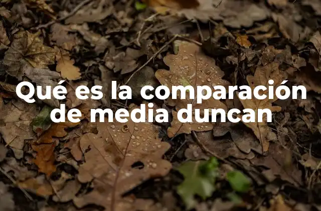 Qué es la Comparación de Media Duncan