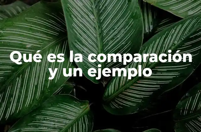 Qué es la Comparación y un Ejemplo