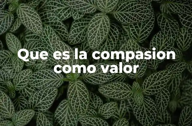 Que es la Compasion como Valor