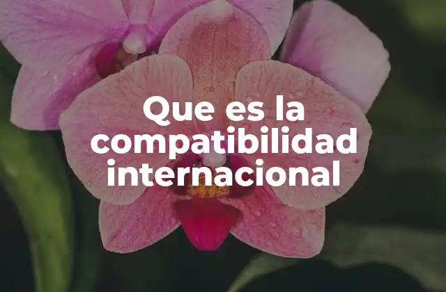 Que es la Compatibilidad Internacional