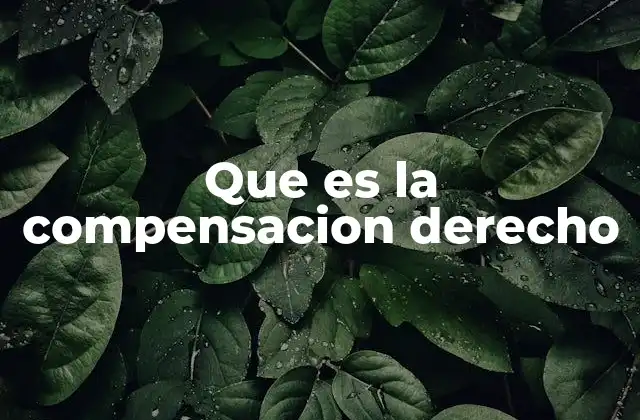Que es la Compensacion Derecho