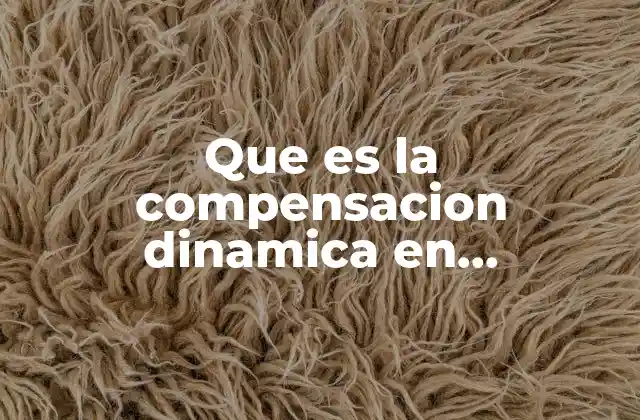 Que es la Compensacion Dinamica en Administracion