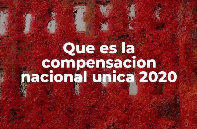 Que es la Compensacion Nacional Unica 2020