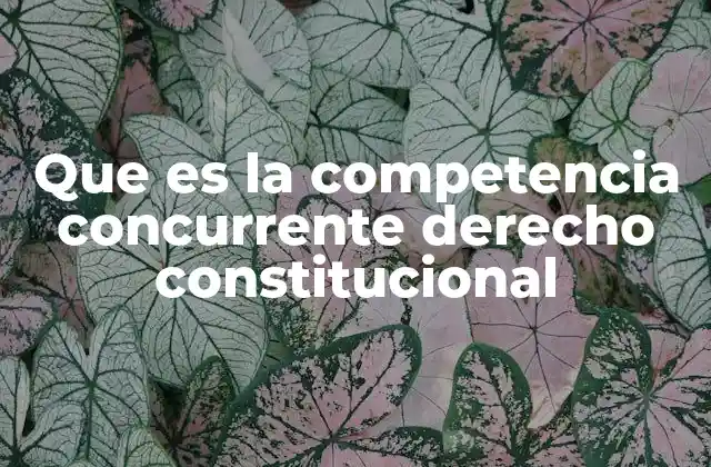 Que es la Competencia Concurrente Derecho Constitucional