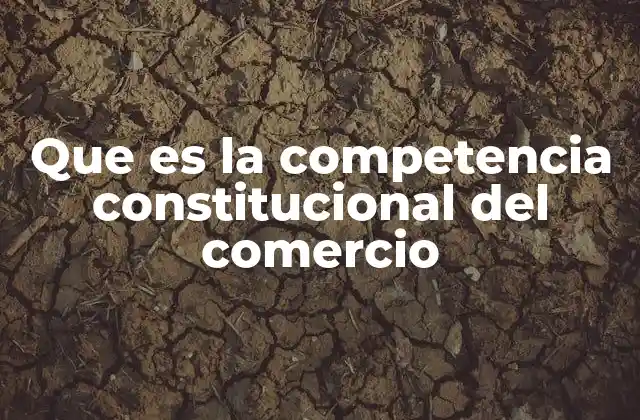 La importancia de la delimitación de competencias en el comercio