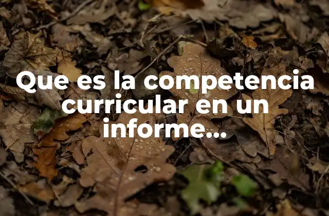 Que es la Competencia Curricular en un Informe Psicopedagogico