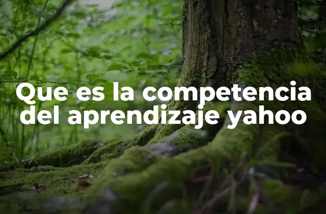 Que es la Competencia Del Aprendizaje Yahoo