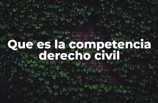 Que es la Competencia Derecho Civil