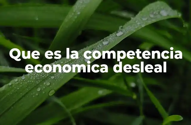Que es la Competencia Economica Desleal