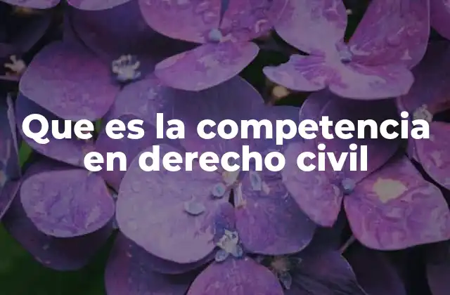 Que es la Competencia en Derecho Civil