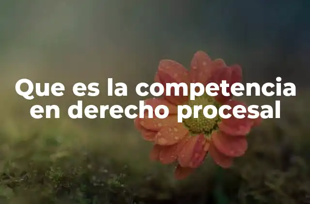 La importancia de la competencia en el sistema judicial