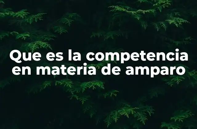 Que es la Competencia en Materia de Amparo