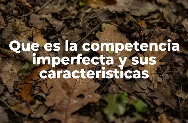 Que es la Competencia Imperfecta y Sus Caracteristicas