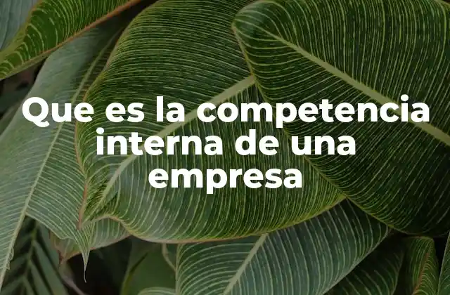 Que es la Competencia Interna de una Empresa