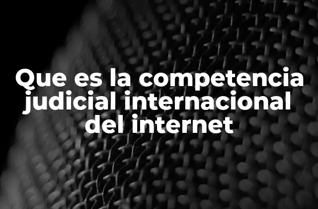 Que es la Competencia Judicial Internacional Del Internet
