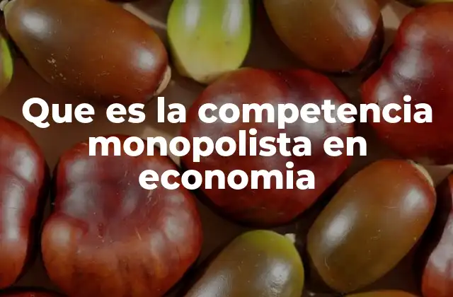 Que es la Competencia Monopolista en Economia