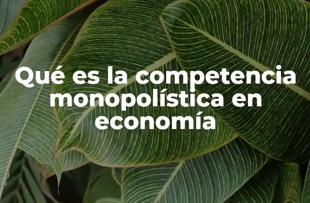 Qué es la Competencia Monopolística en Economía 2 Características de la competencia monopolística