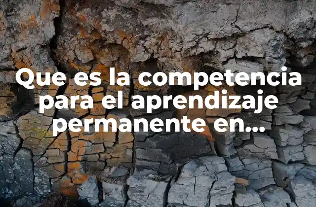 Que es la Competencia para el Aprendizaje Permanente en Educacion