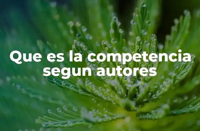 Que es la Competencia Segun Autores