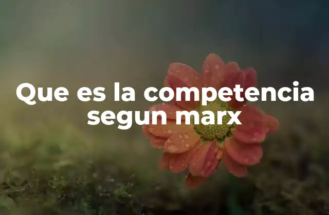Que es la Competencia Segun Marx