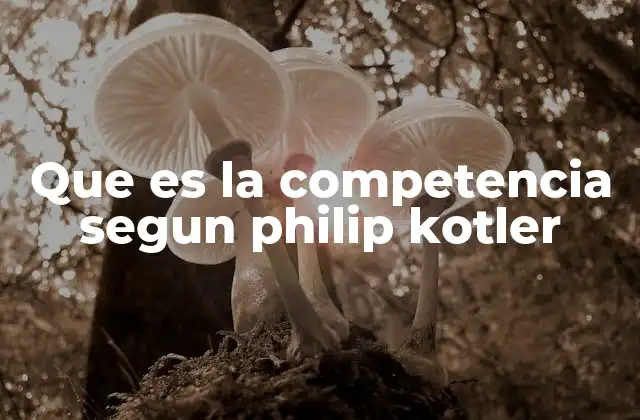 Que es la Competencia Segun Philip Kotler 2 El rol de la competencia en la estrategia de marketing