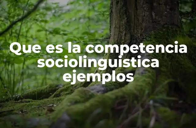 Que es la Competencia Sociolinguistica Ejemplos
