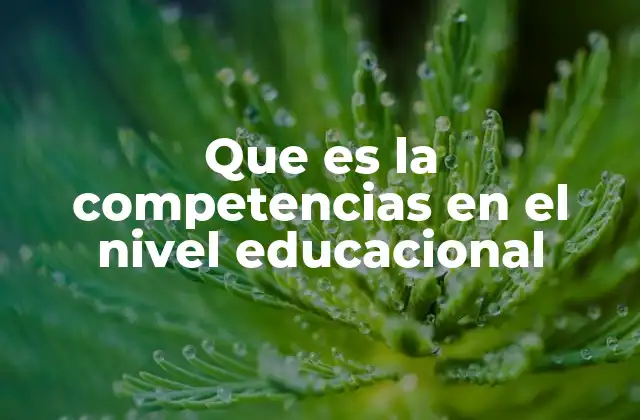 Que es la Competencias en el Nivel Educacional