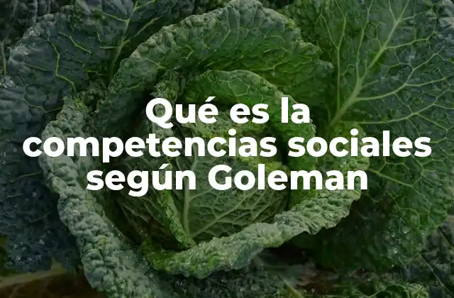 Qué es la Competencias Sociales según Goleman