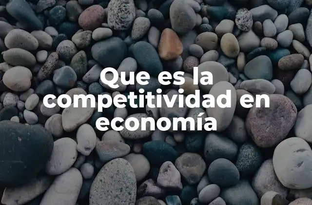 Que es la Competitividad en Economía