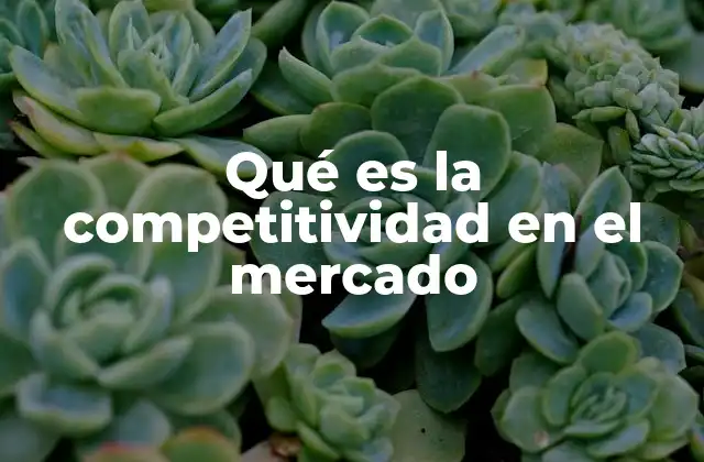 Qué es la Competitividad en el Mercado